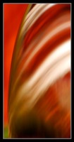 Abstract Photos For Sale 29