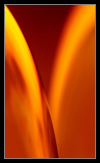 Abstract Photos For Sale 35