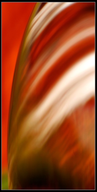 Abstract Photography for sale by Artist C Ribet 042